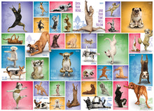 Load image into Gallery viewer, Yoga Dogs - 1000 Piece Puzzle by EuroGraphics