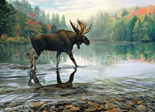 Load image into Gallery viewer, "Moose Crossing" - 1000 Piece Cobble Hill Puzzle - Hallmark Timmins