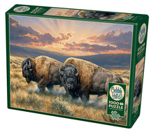 Load image into Gallery viewer, "Dusty Plains" - 1000 Piece Cobble Hill Puzzle