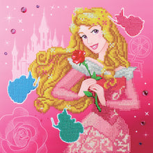 Load image into Gallery viewer, Aurora Graceful Diamond Dotz Painting Kit