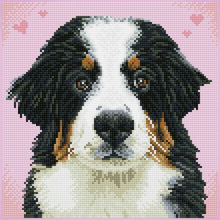 Load image into Gallery viewer, Diamond Dotz Squares Say Hello to Zuzu