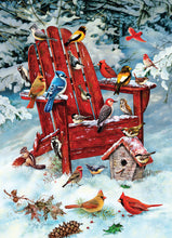 Load image into Gallery viewer, Adirondack Birds - 1000 Piece Puzzle by Cobble Hill