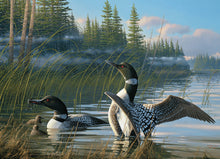 Load image into Gallery viewer, Common Loons - 1000 Piece Puzzle by Cobble Hill