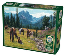 Load image into Gallery viewer, Horse Meadow - 1000 Piece Puzzle by Cobble Hill