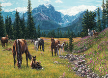 Load image into Gallery viewer, Horse Meadow - 1000 Piece Puzzle by Cobble Hill