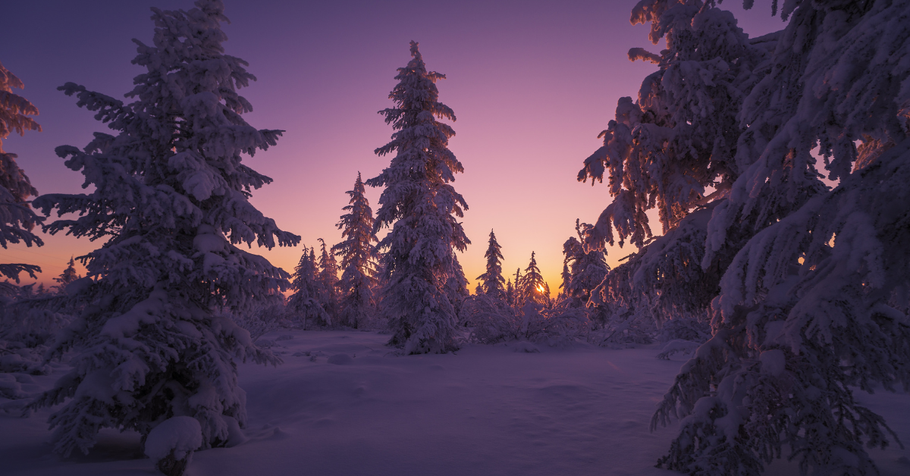 Cozy Canadian Winters: Why Christmas Puzzles are the Perfect Tradition