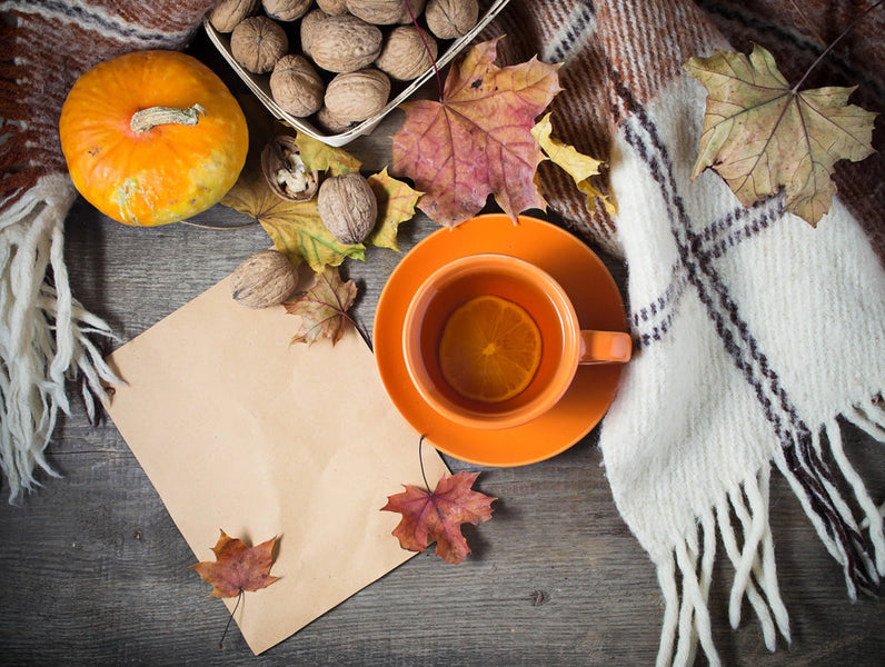 Cozy Up Your Home with Hallmark Fall Decor Must-Haves for the Perfect Autumn Ambiance