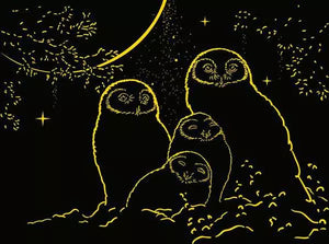 Glow in the Dark: Owls in the Moonlight - 500 Piece Puzzle by Ravensburger