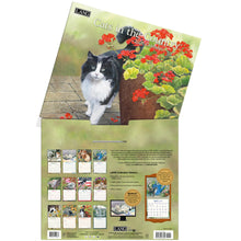 Load image into Gallery viewer, CATS IN THE COUNTRY - 2026 LANG CALENDAR
