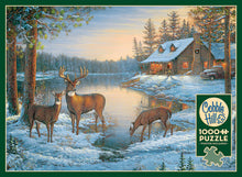 Load image into Gallery viewer, A Quiet Place - 1000 Piece by Cobble Hill
