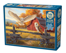 Load image into Gallery viewer, Barn and Owls - 500 Piece Puzzle by Cobble Hill
