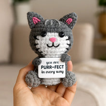 Load image into Gallery viewer, Cat Crocheted Mini - Little Pick Me Up
