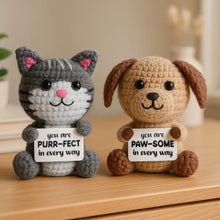 Load image into Gallery viewer, Cat Crocheted Mini - Little Pick Me Up
