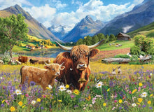 Load image into Gallery viewer, Highland Cows - 1000 Piece Puzzle by Eurographics
