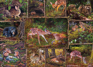 Into the Woods (Family) - 350 Piece Puzzle by Cobble Hill