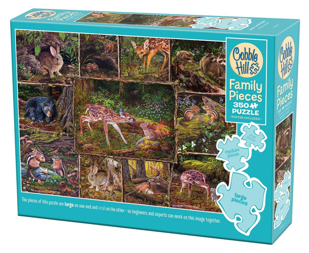 Into the Woods (Family) - 350 Piece Puzzle by Cobble Hill