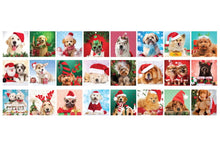 Load image into Gallery viewer, Christmas Paws - Advent Calendar by Eurographics
