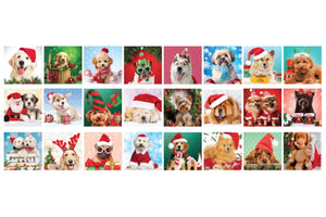 Christmas Paws - Advent Calendar by Eurographics