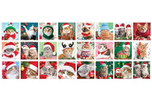 Load image into Gallery viewer, Christmas Whiskers - Advent Calendar by Eurographics
