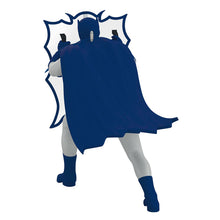 Load image into Gallery viewer, Batman™ The Classic TV Series Behind the Bat-Shield™ Ornament
