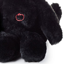 Load image into Gallery viewer, Black Cat Halloween Plush With Sound, 9.6&quot;

