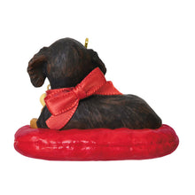 Load image into Gallery viewer, Puppy Love Long-Haired Dachshund 2025 Ornament
