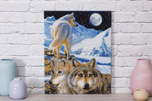 Load image into Gallery viewer, Crystal Art - Mounted Kit - The Sentinel - Hallmark Timmins
