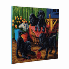 Load image into Gallery viewer, Crystal Art - Mounted Kit - Black Labrador Pups - Large - Hallmark Timmins
