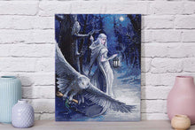 Load image into Gallery viewer, Crystal Art -Mounted Kit -Midnight Messenger - Large - Hallmark Timmins
