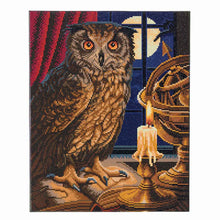 Load image into Gallery viewer, Crystal Art - Mounted Kit - The Astrologer Owl - Large - Hallmark Timmins
