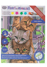 Load image into Gallery viewer, Crystal Art Paint by Numbers - Hi Kittens - Large - Hallmark Timmins

