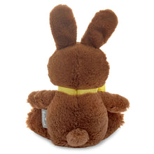 Load image into Gallery viewer, Chocolate-Scented Easter Bunny Plush, 7"
