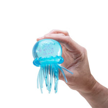 Load image into Gallery viewer, Schylling JellySquish NeeDoh Squishy Multicolor
