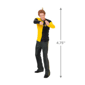 Harry Potter™ Cedric Diggory™ Ornament