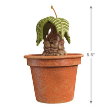 Load image into Gallery viewer, Harry Potter™ Mandrake™ Ornament With Sound
