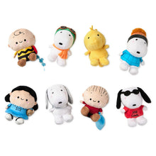 Load image into Gallery viewer, Better Together Peanuts® 75th Anniversary Mystery Box Mini Magnetic Plush
