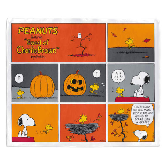 Peanuts Snoopy and Woodstock Comic Strip Fall Throw Blanket 50x60