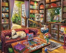 Load image into Gallery viewer, Puzzle Library - 1000 Piece Puzzle by White Mountain

