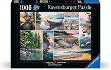 Load image into Gallery viewer, West Coast Tranquility - 1000 Piece Puzzle by Ravensburger
