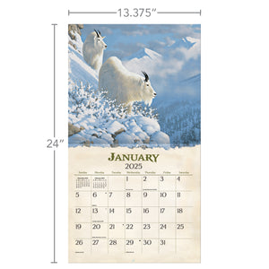 Beyond The Woods - 2025 Lang Calendar