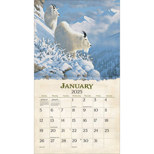 Beyond The Woods - 2025 Lang Calendar