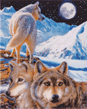 Load image into Gallery viewer, Crystal Art - Mounted Kit - The Sentinel - Hallmark Timmins
