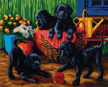 Load image into Gallery viewer, Crystal Art - Mounted Kit - Black Labrador Pups - Large - Hallmark Timmins
