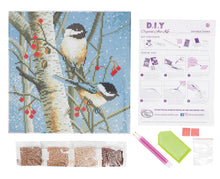 Load image into Gallery viewer, Crystal Art -Mounted Kit - Woodland Sprites - Medium - Hallmark Timmins
