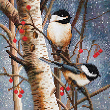 Load image into Gallery viewer, Crystal Art -Mounted Kit - Woodland Sprites - Medium - Hallmark Timmins
