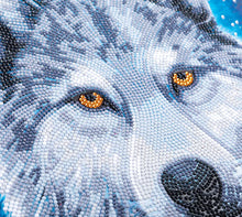 Load image into Gallery viewer, Crystal Art - Mounted Kit - Moonlight Wolf - Medium - Hallmark Timmins
