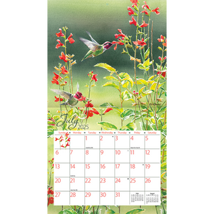 Hummingbirds - 2025 Lang Calendar