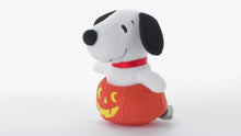 Load and play video in Gallery viewer, Peanuts® Zip-Along Snoopy Plush Toy
