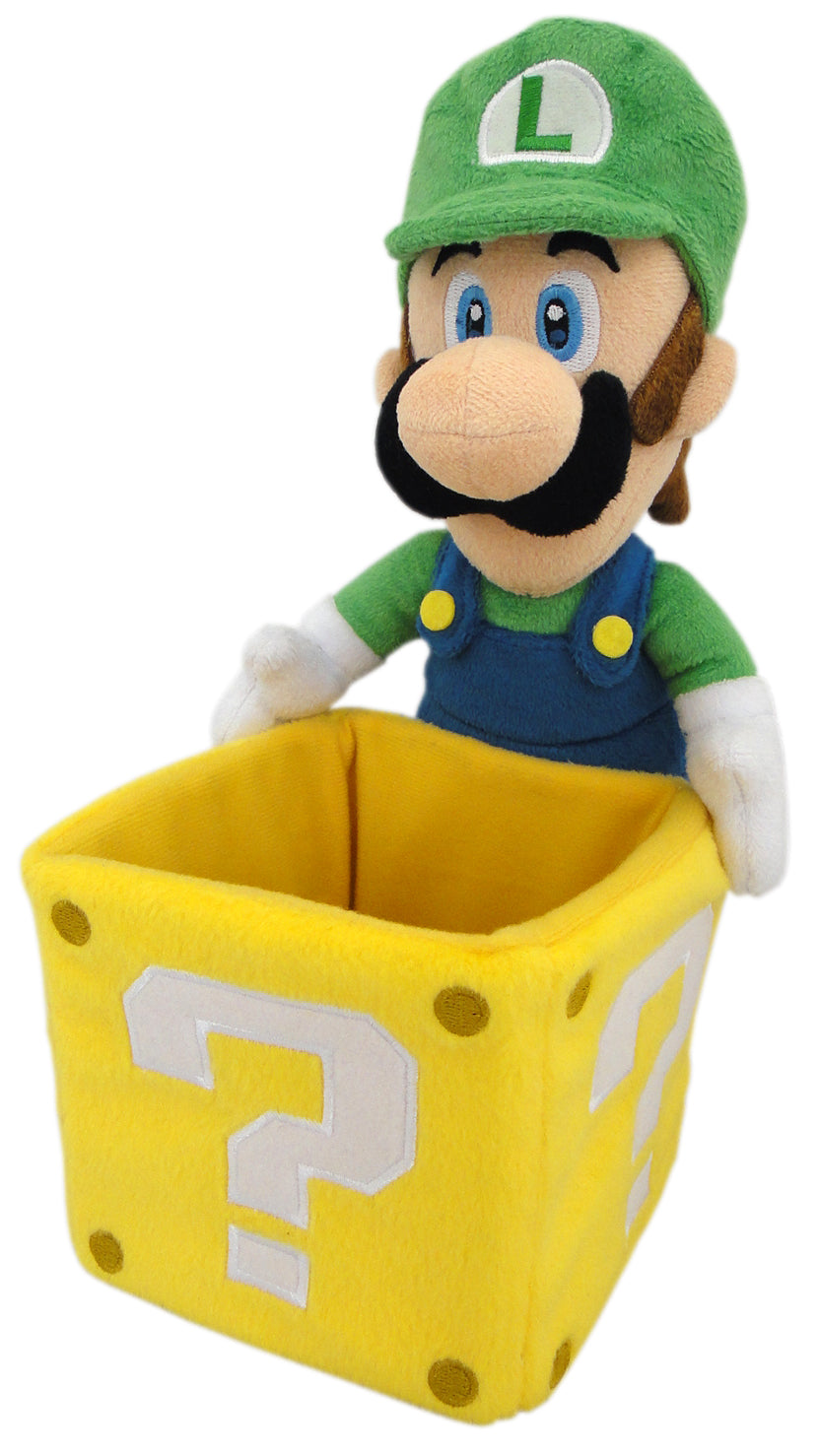 Luigi Coin Box 9