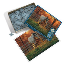 Load image into Gallery viewer, Quiet Time - 500 Piece Puzzle by Cobble Hill
